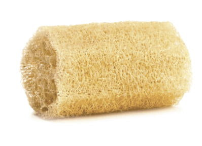 Natural Mayan Loofah for kitchen or bath