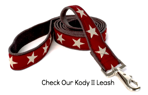 Kody II Red Hemp Decorative Dog Leash with White Stars