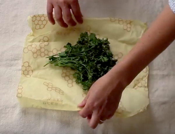 Bee's Wrap Medium Sustainable Food Wrap | Upland Road