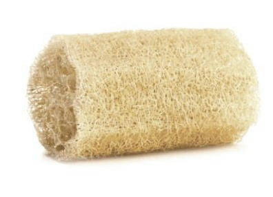 Single Heirloom Loofah open