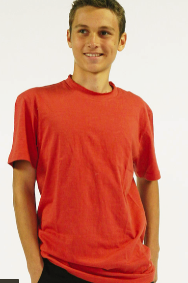Men's James tee shirt - organic cotton Jujube shirt