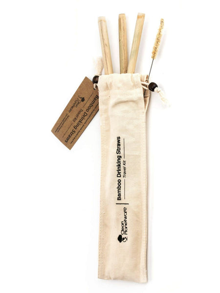 Bamboo Straw Travel Kit with 3 straws and an agave cleaning brush