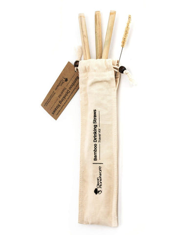 Bamboo Straw Travel Kit with 3 straws and an agave cleaning brush