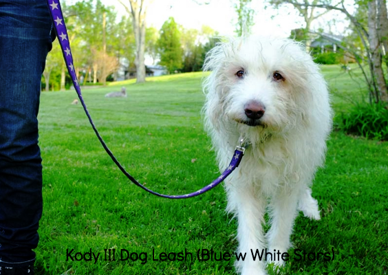 Kody III Blue Hemp Dog Leash with White Stars