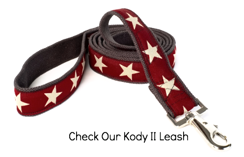 Kody II Red Hemp Decorative Dog Leash with White Stars