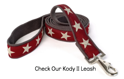 Kody II Red Hemp Decorative Dog Leash with White Stars